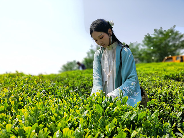 内f4e8cdc8e2465b7fc_副本.jpg 内f4e8cdc8e2465b7fc_副本.jpg