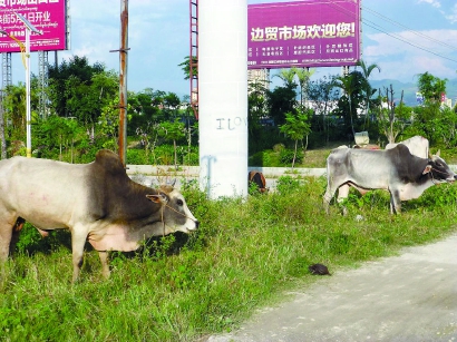 40214_p5.jpg 40214_p5.jpg