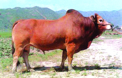 40214_p6.jpg 40214_p6.jpg