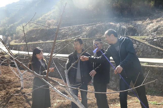 内 0162610_副本.jpg 内 0162610_副本.jpg