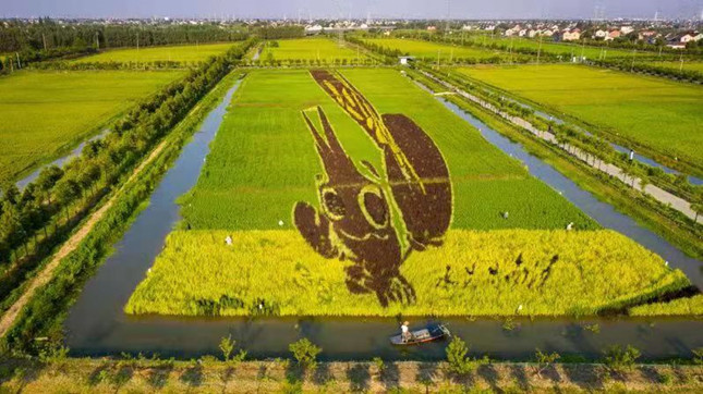 内8fb3606987e488_副本.jpg 内8fb3606987e488_副本.jpg