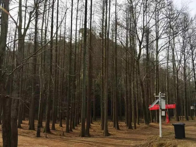 内get (1)_副本.jpg 内get (1)_副本.jpg