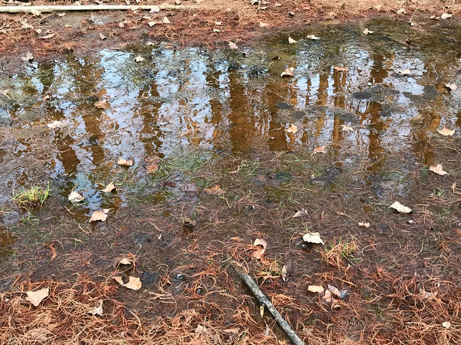 内 (2)_副本.jpg 内 (2)_副本.jpg