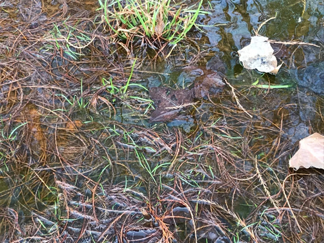 内 (3)_副本.jpg 内 (3)_副本.jpg