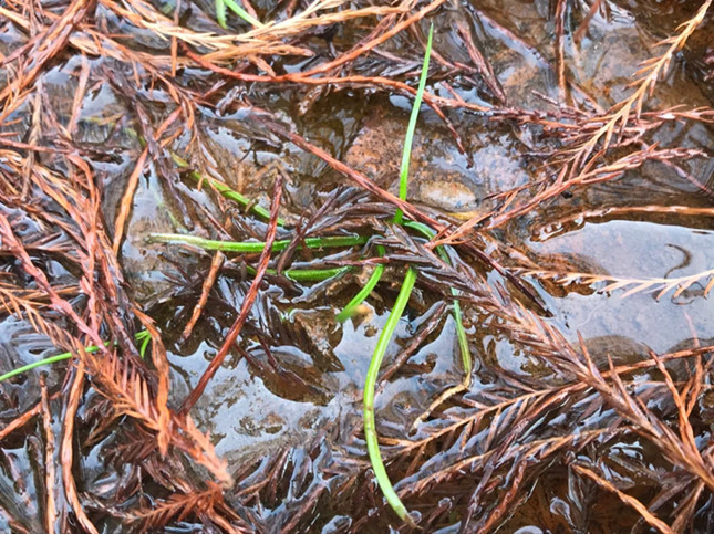 内t_副本.jpg 内t_副本.jpg