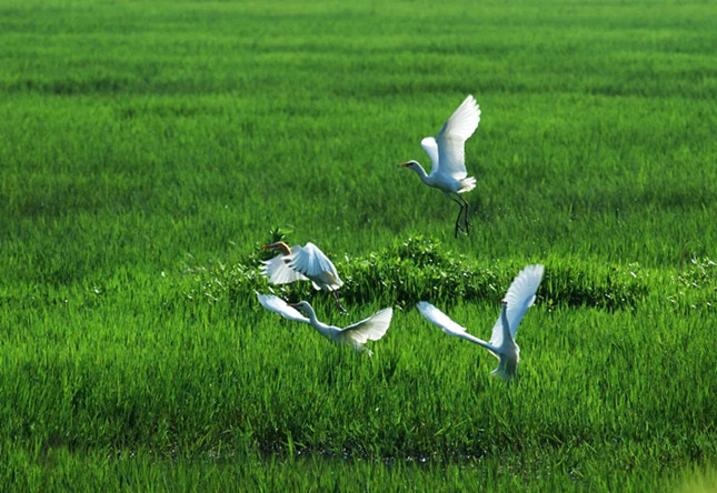 内t (4)_副本.jpg 内t (4)_副本.jpg