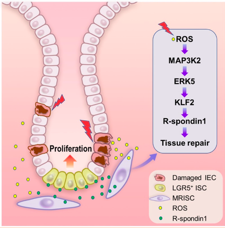 屏幕快照 2021-03-04 上午9.20.02.png 屏幕快照 2021-03-04 上午9.20.02.png