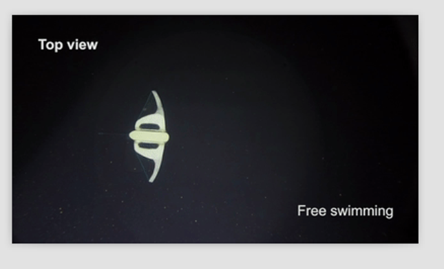 nei a29527312e7697570e3_副本.png nei a29527312e7697570e3_副本.png