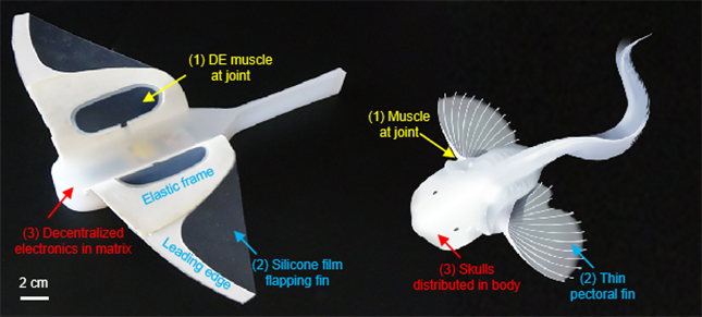 nei 00494be391ac73c0c_副本.png nei 00494be391ac73c0c_副本.png