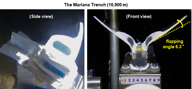 nei 531883eba973ced4bc_副本.png nei 531883eba973ced4bc_副本.png