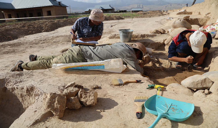 2017年,拉巴特墓地发掘现场,中乌学者配合工作_副本.jpg 2017年,拉巴特墓地发掘现场,中乌学者配合工作_副本.jpg