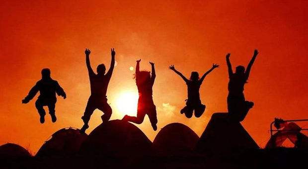 timg (1).jpg timg (1).jpg