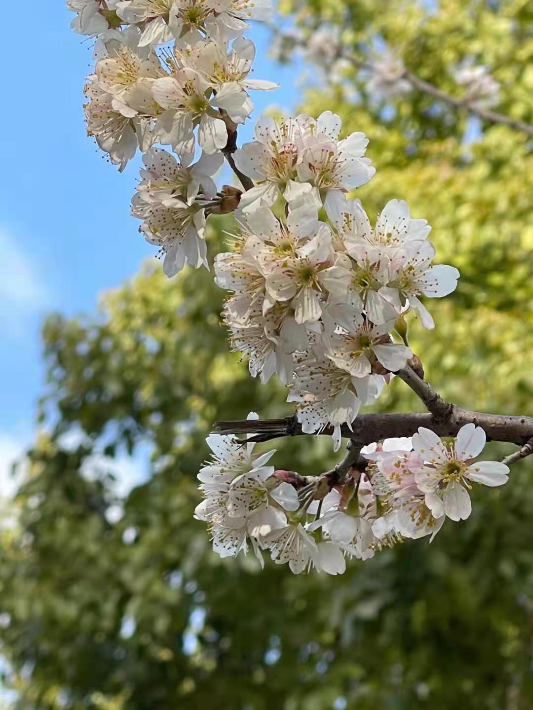 微信图片_20210311092411.jpg 微信图片_20210311092411.jpg