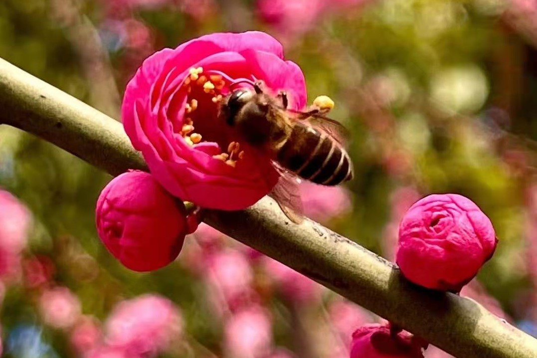 微信图片_20210311092402-.jpg 微信图片_20210311092402-.jpg