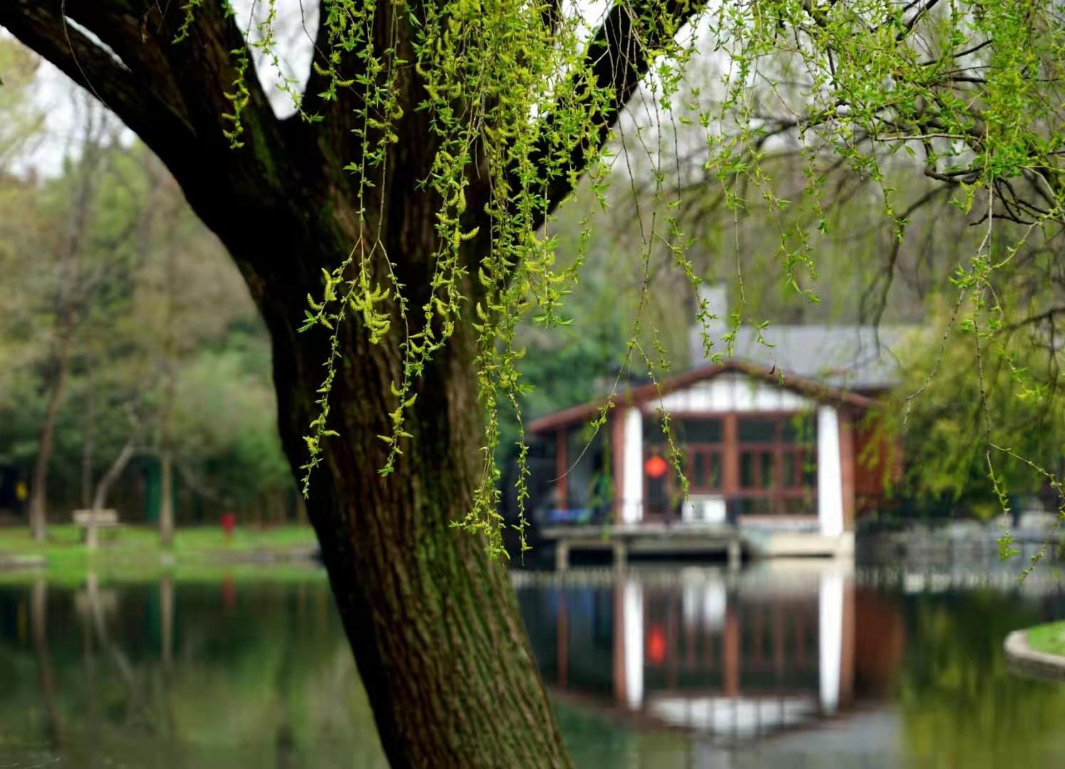 微信图片_20210311100854.jpg 微信图片_20210311100854.jpg