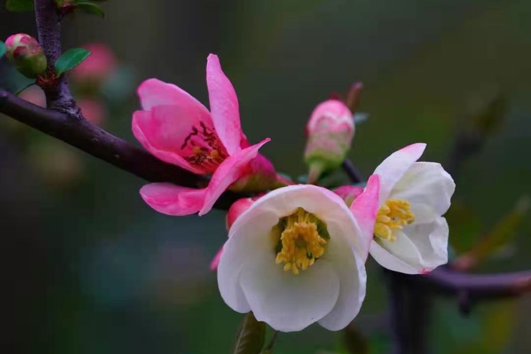 微信图片_20210311101220-.jpg 微信图片_20210311101220-.jpg