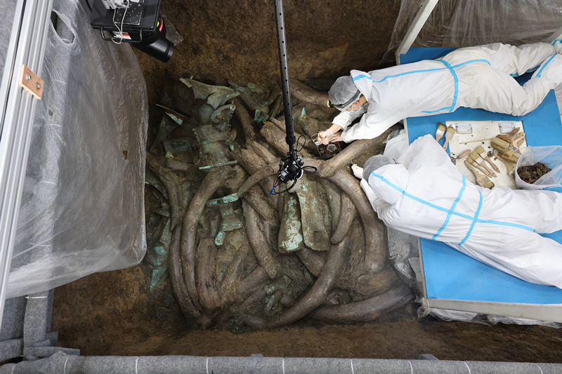 发掘工作照3_副本.jpg 发掘工作照3_副本.jpg