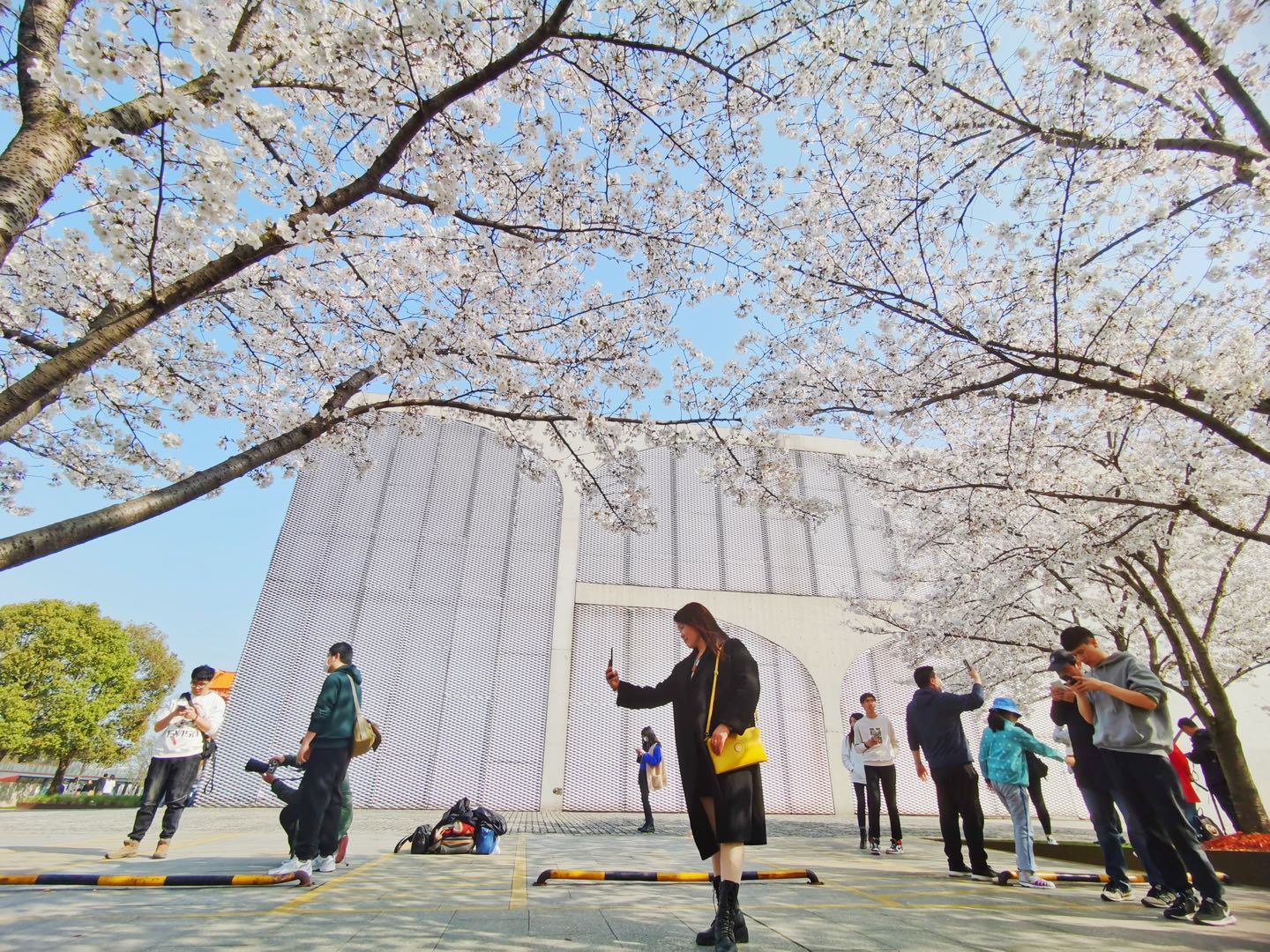 574774FF-B49D-41F0-AA76-191A57F65651.jpeg 574774FF-B49D-41F0-AA76-191A57F65651.jpeg