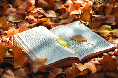 70402_p22.jpg 70402_p22.jpg