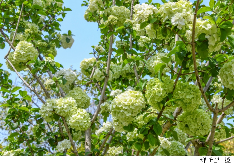 3097684_w750.jpg 3097684_w750.jpg