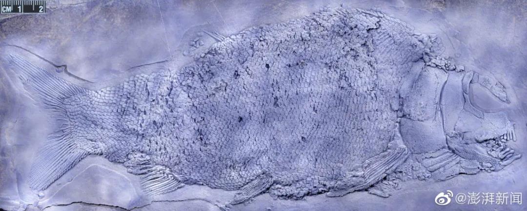 微信图片_20210409053955.jpg 微信图片_20210409053955.jpg