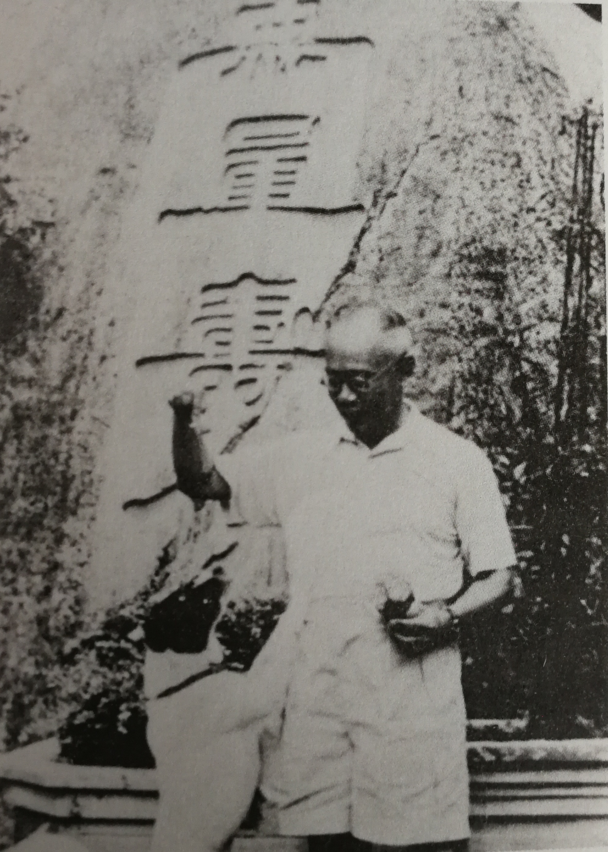 微信图片_20210409092457.jpg 微信图片_20210409092457.jpg