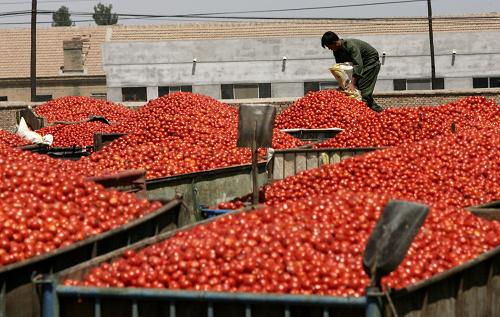 001aa04b3d040beb254503.jpg 001aa04b3d040beb254503.jpg