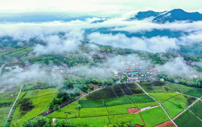 1313270082ai.jpg 1313270082ai.jpg