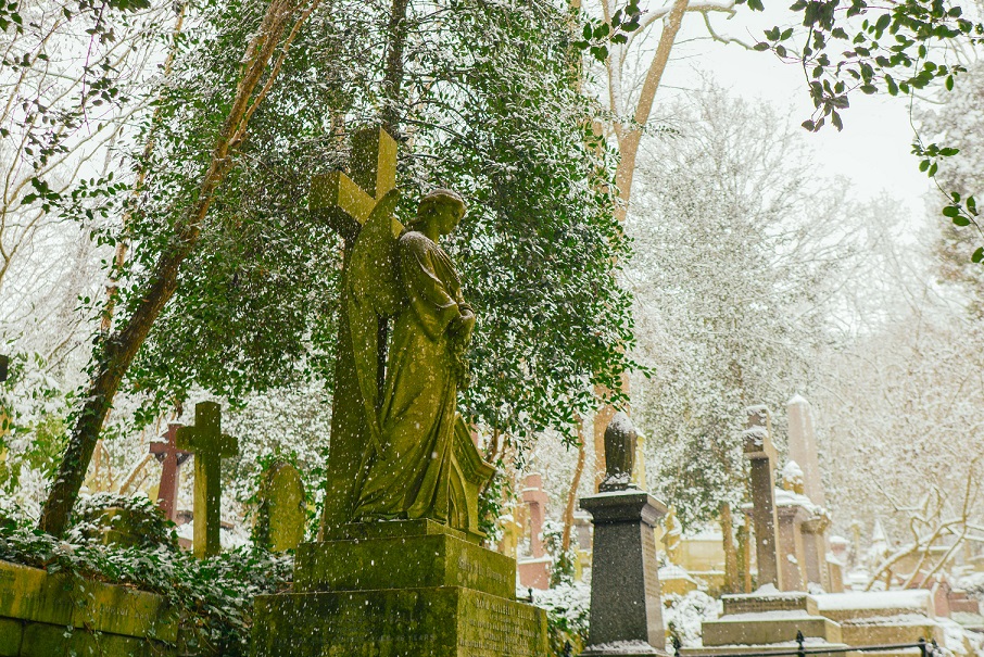 selected-55.jpg selected-55.jpg