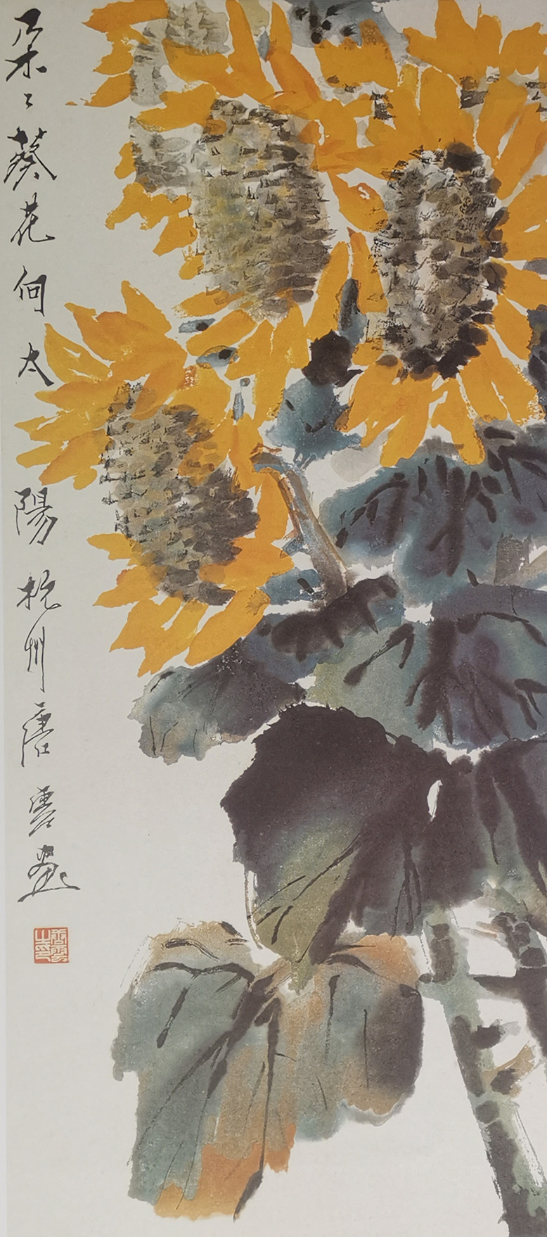 徐建融:唐云画朵朵葵花.jpg 徐建融:唐云画朵朵葵花.jpg