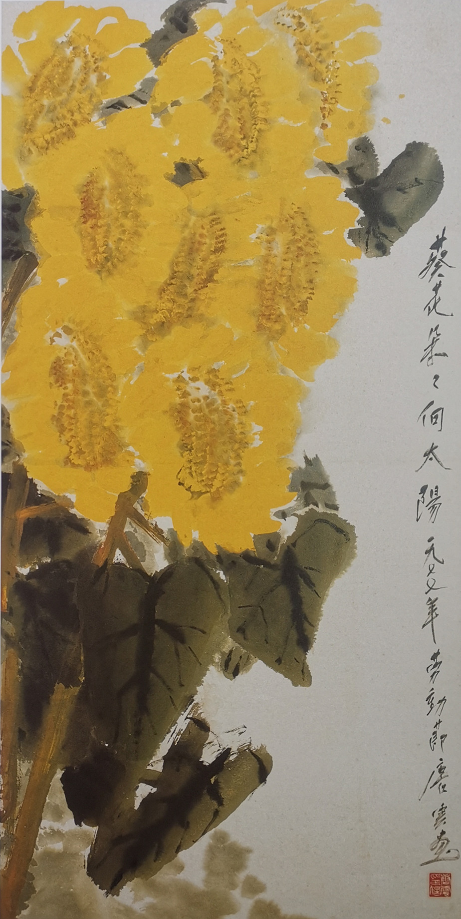 徐建融:唐云画向日葵(1977).jpg 徐建融:唐云画向日葵(1977).jpg
