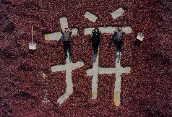 微信截图_20210501112517.png 微信截图_20210501112517.png