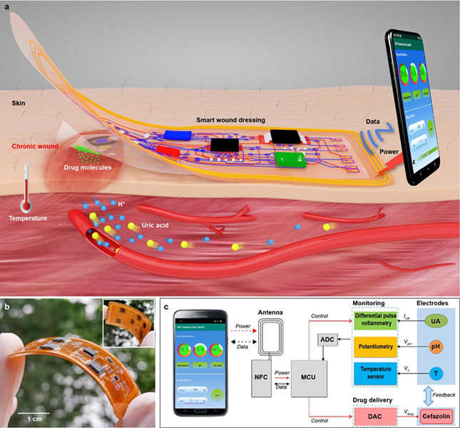 nei 0c2778ad3a4a109a_副本.png nei 0c2778ad3a4a109a_副本.png