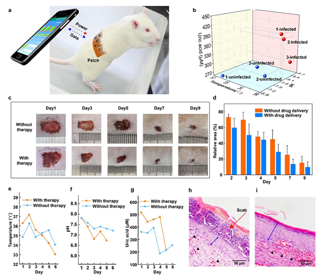 nei 05824d56818294_副本.png nei 05824d56818294_副本.png