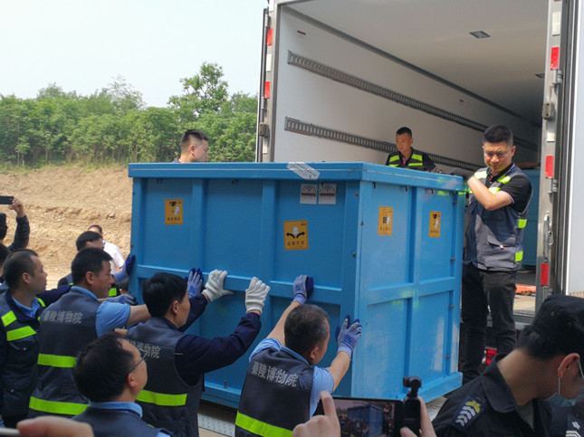 IMG_20210512_100548.jpg IMG_20210512_100548.jpg