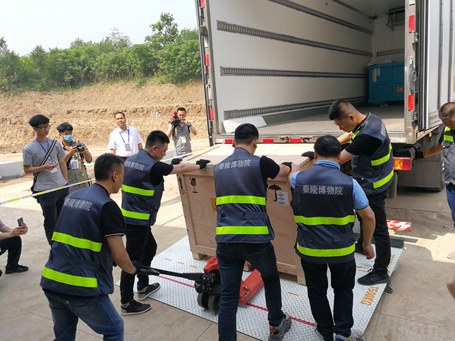 IMG_20210512_101654.jpg IMG_20210512_101654.jpg