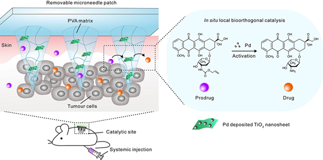 nei 7915e82000af33d_副本.png nei 7915e82000af33d_副本.png