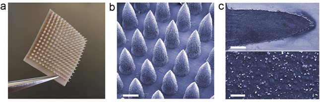 nei a63728c9d72e3_副本.png nei a63728c9d72e3_副本.png