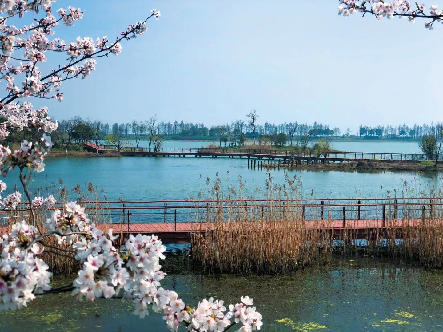 1946273210.jpg 1946273210.jpg