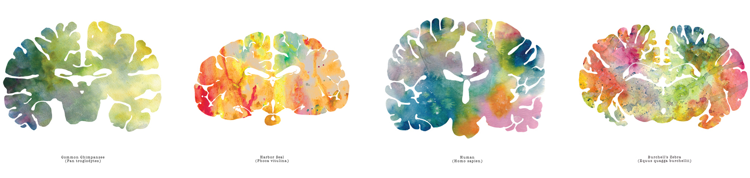 (学人5.17)神经哲学“不是真的哲学”(4718437)-20210514194400.jpg (学人5.17)神经哲学“不是真的哲学”(4718437)-20210514194400.jpg