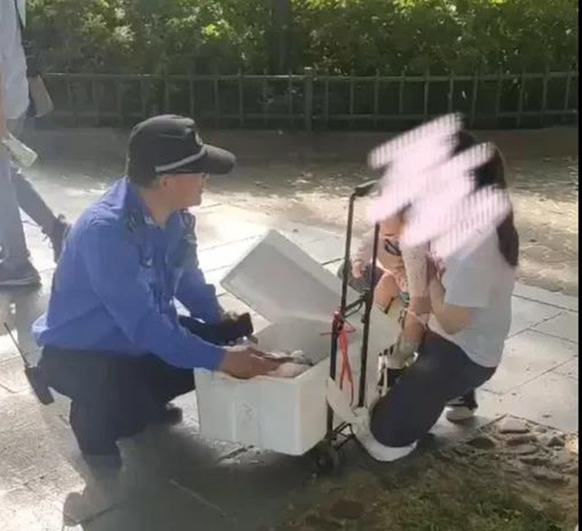 内17184822_副本.jpg 内17184822_副本.jpg