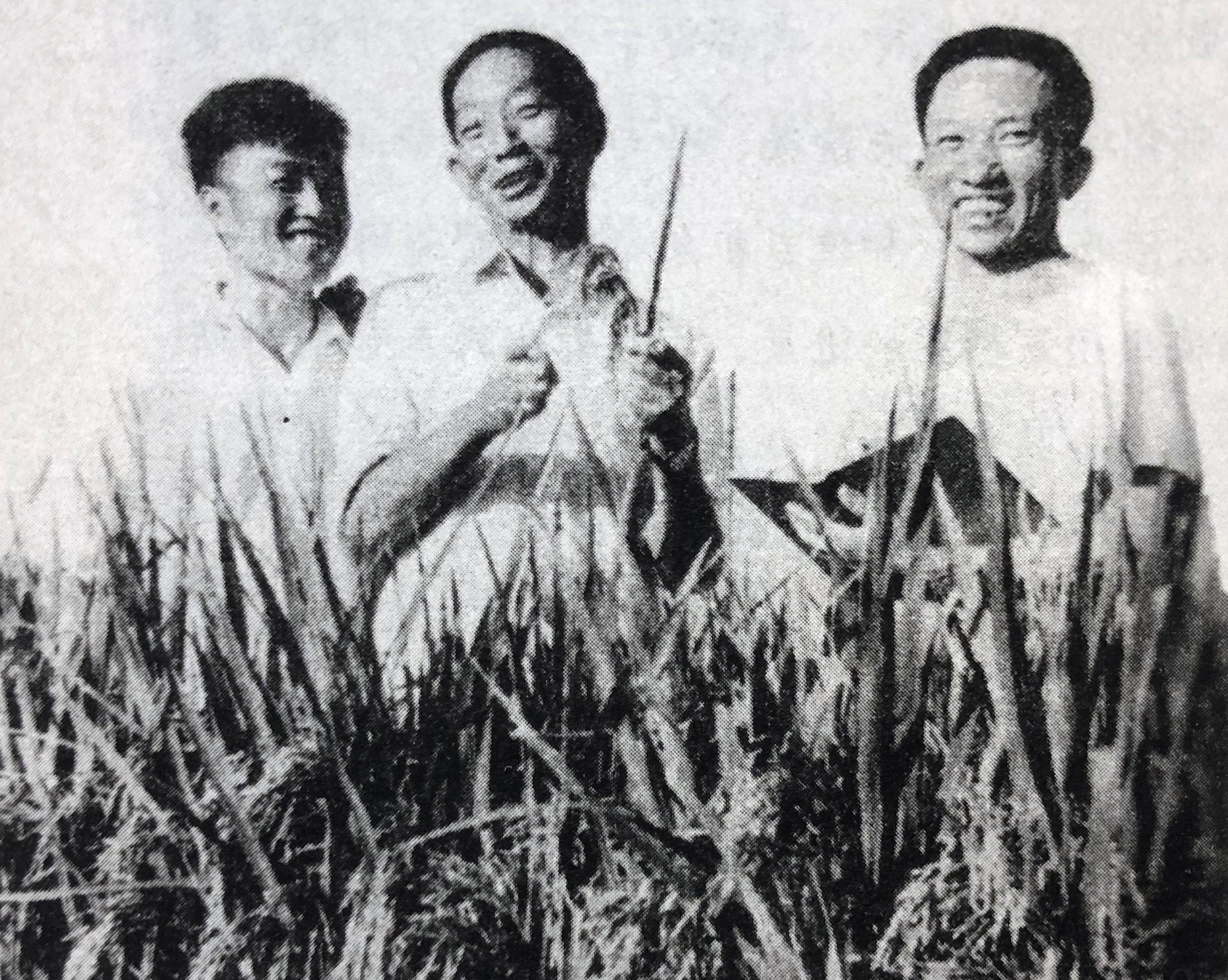 辛业芸提供 (1).jpg 辛业芸提供 (1).jpg