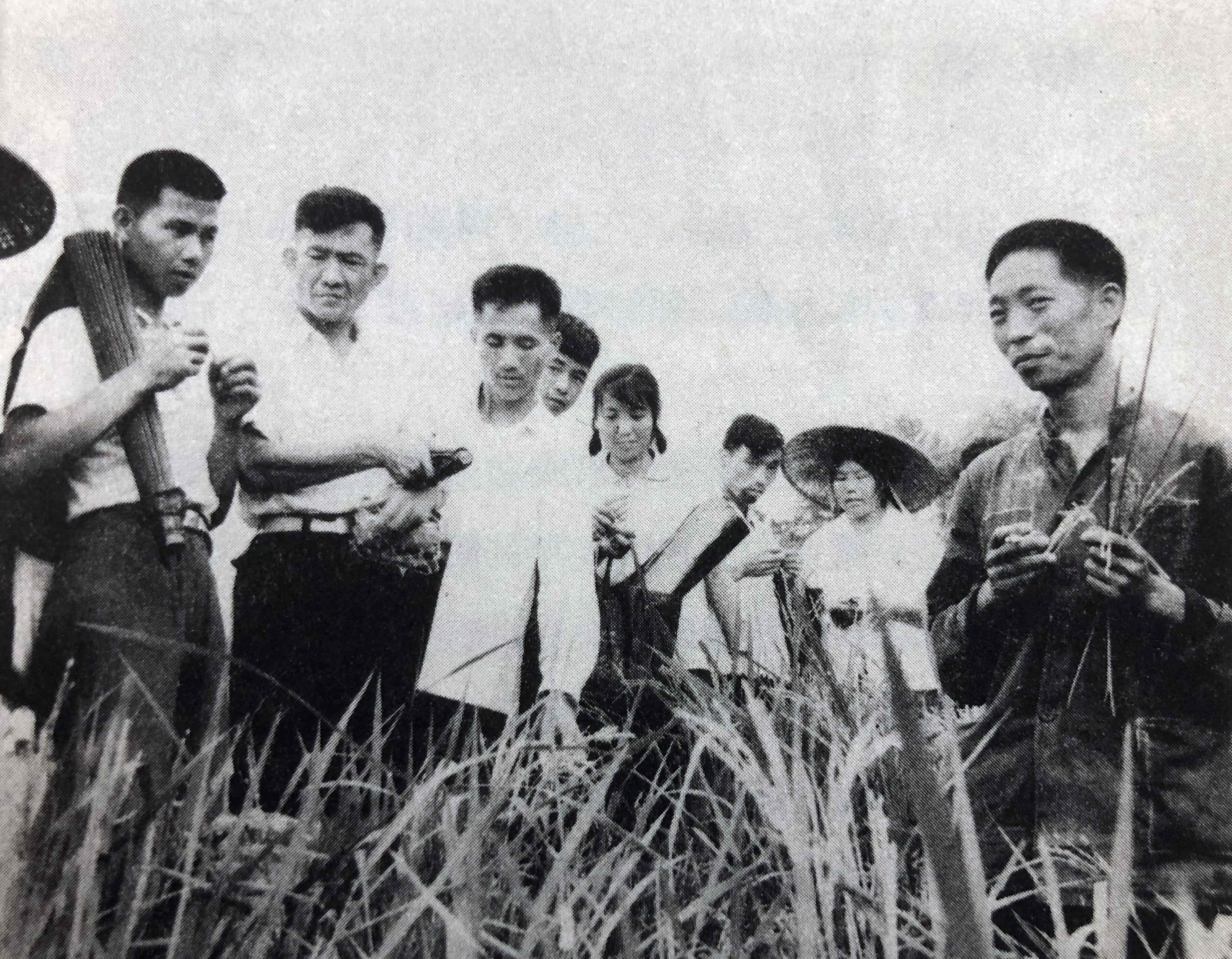 辛业芸提供 (3).jpg 辛业芸提供 (3).jpg