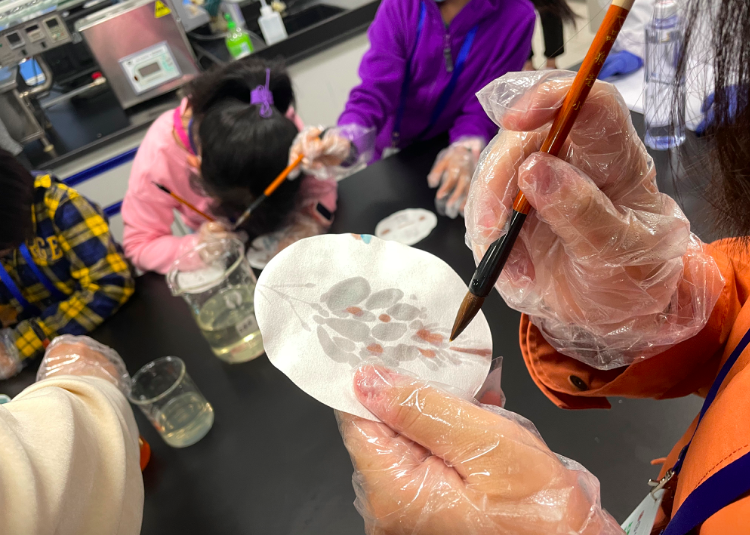 屏幕快照 2021-05-23 下午2.54.55.png 屏幕快照 2021-05-23 下午2.54.55.png