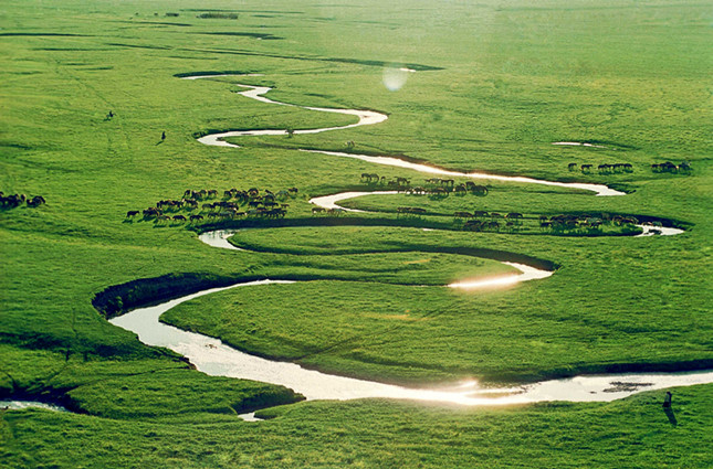 内 962d8111976cb8f13_副本.jpg 内 962d8111976cb8f13_副本.jpg