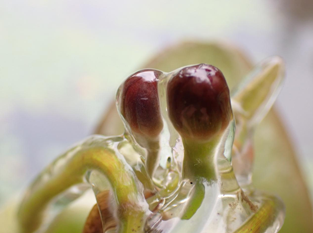 nei 10ad1383803f0a758f_副本.png nei 10ad1383803f0a758f_副本.png