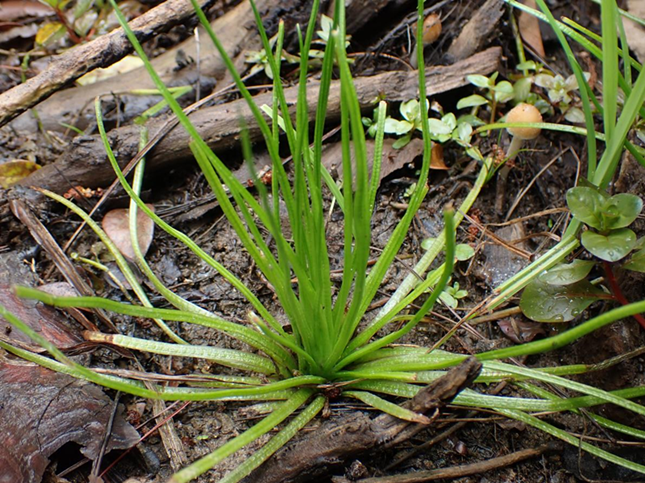 nei 250f39b41a82689_副本.png nei 250f39b41a82689_副本.png