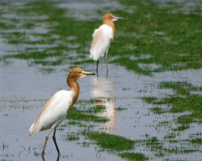 nei def99fdaab7177b4_副本.jpg nei def99fdaab7177b4_副本.jpg