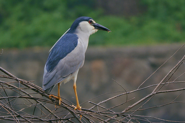 nei 0a3035af43e534a1a_副本.jpg nei 0a3035af43e534a1a_副本.jpg