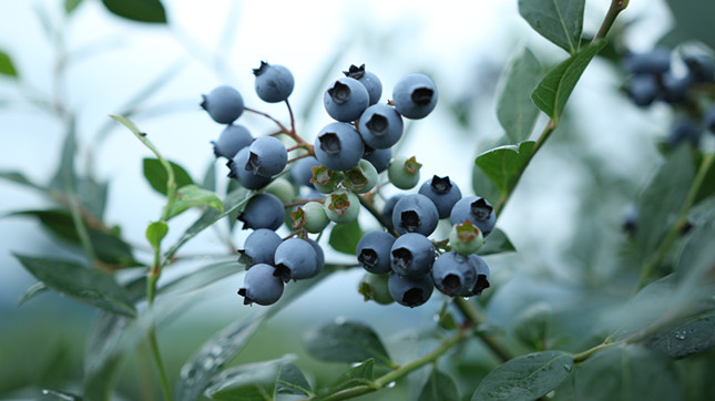 内a437afaa09e322_副本.jpg 内a437afaa09e322_副本.jpg